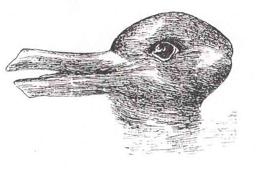 Impact of paradigm shift- The rabbit-duck wars!