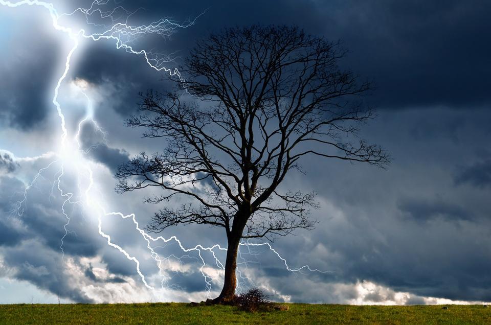 The storm inside