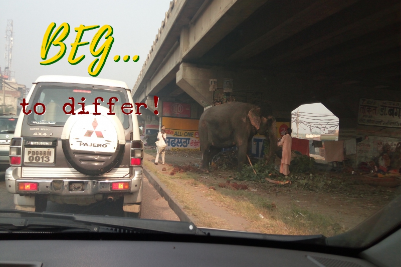 Beg….to differ! Life under an overbridge.