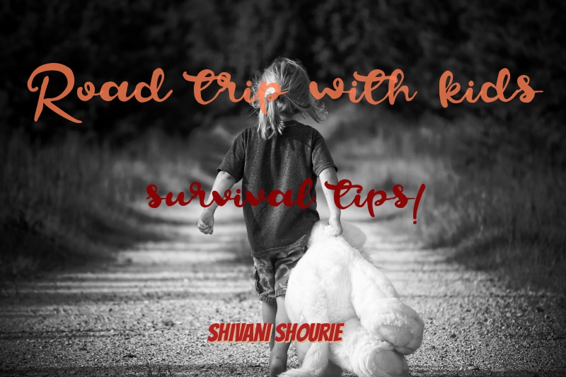 Road trip with kids- survival tips!